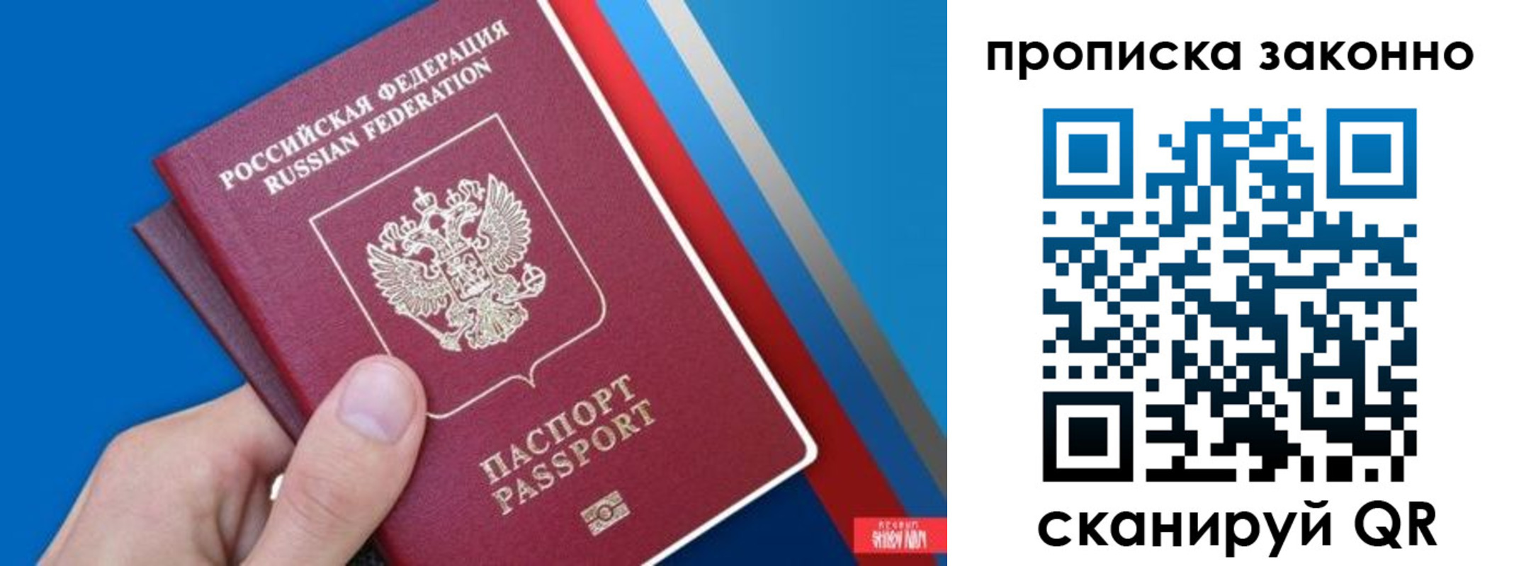 пропишу в квартире в Новом Осколе